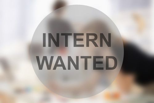 Laptop with code and a small plush octopus.