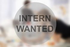 Laptop with code and a small plush octopus.