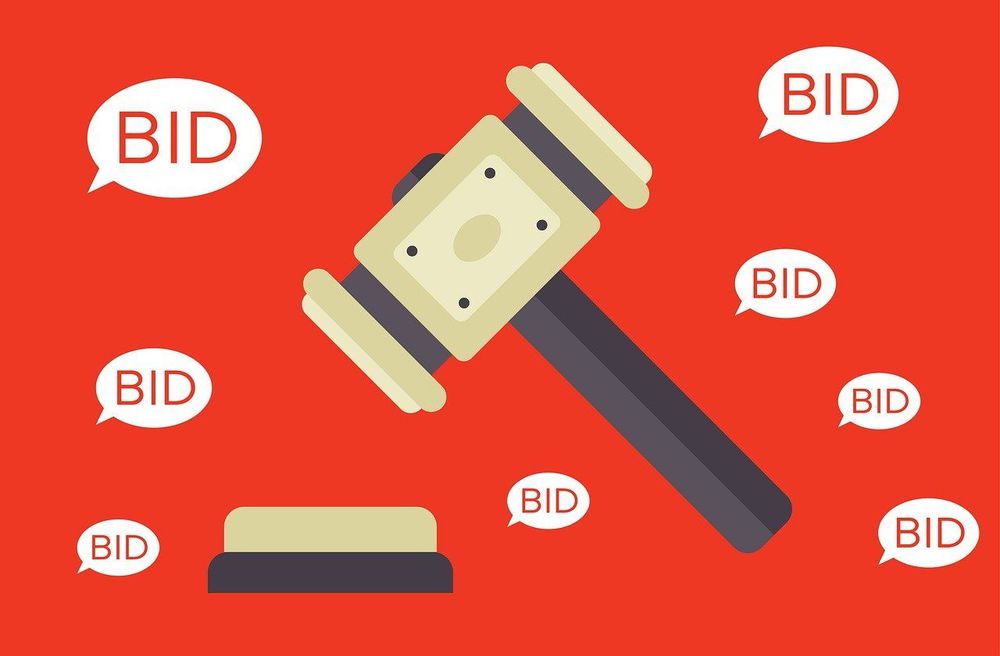 auction, bid, bidding, gavel, auctioneer, auction, auction, auction, auction, auction, bid, bidding