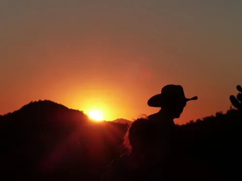 cowboy, sunset, nature, usa, wild west, cap