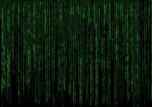 matrix, code, computer, pc, data, program, computer virus, programming, zoom background, coding, wallpaper, matrix, matrix, matrix, matrix, matrix, code, code, computer, computer, data, data, programming, coding, coding