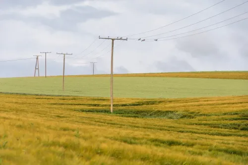 field, agriculture, grain field, landscape, green, nature, telegraph pole, cable, management