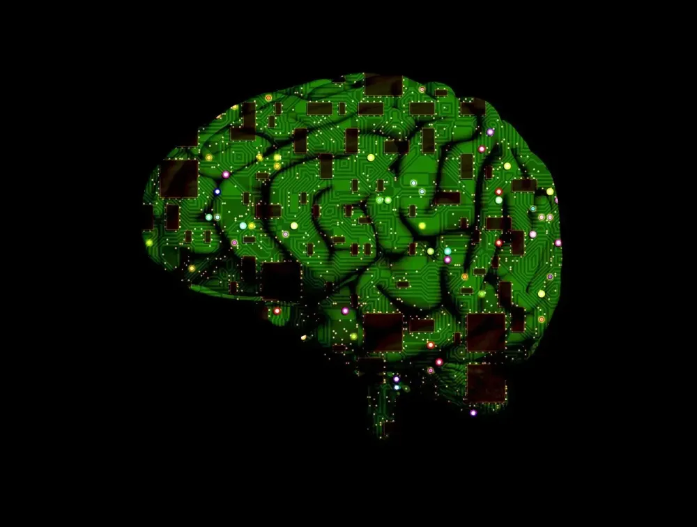 brain, circuit, intelligence, artificial, processing, cybernetics, microchip, information, black brain, black information, brain, brain, brain, brain, brain, microchip, microchip, microchip, microchip, microchip