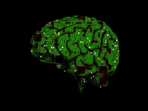 brain, circuit, intelligence, artificial, processing, cybernetics, microchip, information, black brain, black information, brain, brain, brain, brain, brain, microchip, microchip, microchip, microchip, microchip