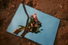 flowers, mirror, reflection, reflected, bloom, flower background, spring, nature, broken, break, morning, poster, banner, flower wallpaper, adobe, landscape, mood, culture, equinox, beautiful flowers, fantasy