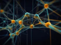 neural network, technology, artificial intelligence, digital, ai, brain, generated by ai, neural network, neural network, neural network, neural network, neural network