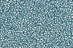 network, communication, brain, neurons, cell, biology, synapse, science, nerve, technology, connection, thinking, ai, artificial, digitization, robotic, big data