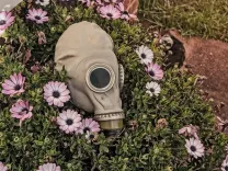 mask, flower wallpaper, garden, flower background, flowers, creepy, evil, beautiful flowers, grunge, horror, beach, urban, urbex, gas mask, spooky, scary, weird, sad, vintage, russian, decay, dark, crime, contrast, brown beach, brown city, brown garden, brown dark, nature, brown death, brown vintage, brown gardening, brown horror, brown evil