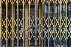 grid, locked, metal, security, protection, stole, gate, closed, theft protection, entrance, fence, secured, barred