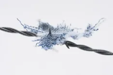 barbed wire, material, shred, torn, jeans, fence, wire, delimitation, security, barrier, validation, protection, protect, danger, dangerous