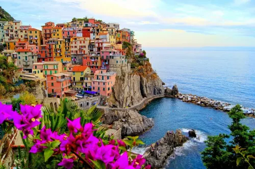 italy, flower wallpaper, viral, flower background, nature, landscape, flowers, beautiful flowers, tree, world, earth
