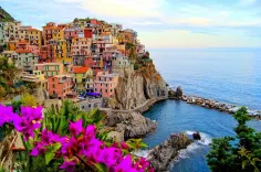 italy, flower wallpaper, viral, flower background, nature, landscape, flowers, beautiful flowers, tree, world, earth