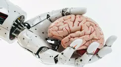 robotic hand, human brain, technology, ai, futuristic, intersection, cognition, mechanical hand, interaction, robotics, brain, futuristic technology, cybernetics, bioengineering, high-tech, humanoid, biotechnology, artificial, machine learning, integration, cybernetic, intelligence, bionics, smart technology, future, ai generated, technology, technology, technology, technology, technology, brain, bioengineering, bioengineering, bioengineering, integration
