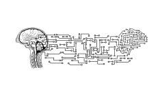 brain, circuit board, artificial intelligence, technology, conductor tracks, connections, network, digital, think, cut out, artificial intelligence, artificial intelligence, artificial intelligence, artificial intelligence, artificial intelligence