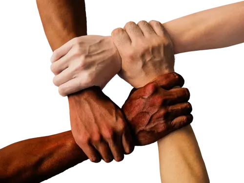 hands, team, united, together, people, unity, teamwork, group, hand in hand, union, support, friendship, cooperation, community, holding, connection, harmony, diversity, cut out, hands, hands, hands, hands, team, team, team, team, team, together, together, people, people, people, people, unity, teamwork, teamwork, group, support, support, friendship, friendship, community, community, community, community, connection, diversity, diversity, diversity, diversity