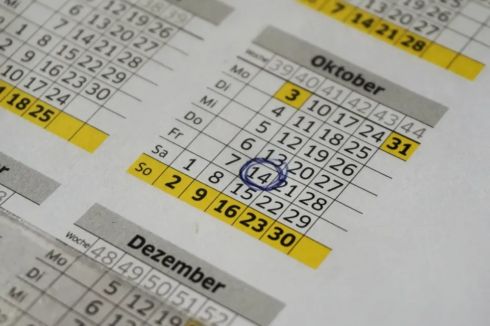 calendar, annual calendar, office, events, planning, plan, note, year, date, circled, calendar, calendar, calendar, calendar, calendar