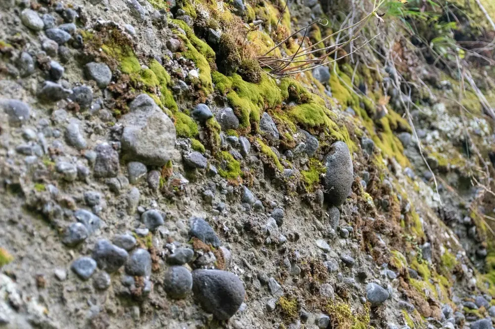 stone, rocks, solid, conglomerate, moss, conglomerate, conglomerate, conglomerate, conglomerate, conglomerate