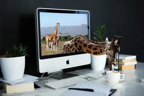 giraffe, screen, technology, display, computer, blue computer, blue technology, blue laptop, giraffe, giraffe, giraffe, giraffe, giraffe, computer, computer, computer