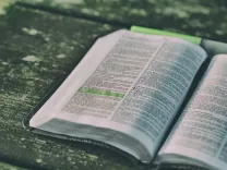 bible, book, open, open bible, open book, pages, chapters, bible reading, bible study, scriptures, bible scriptures, knowledge, literature, paper, print, study, bible, bible, bible, bible, bible