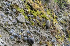 stone, rocks, solid, conglomerate, moss, conglomerate, conglomerate, conglomerate, conglomerate, conglomerate