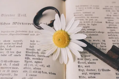 key, old, flower, flower background, nostalgic, nature, vintage, marguerite, blossom, beautiful flowers, bloom, rust, flower wallpaper, metal, antique, dictionary, german-english, translation, words, a book